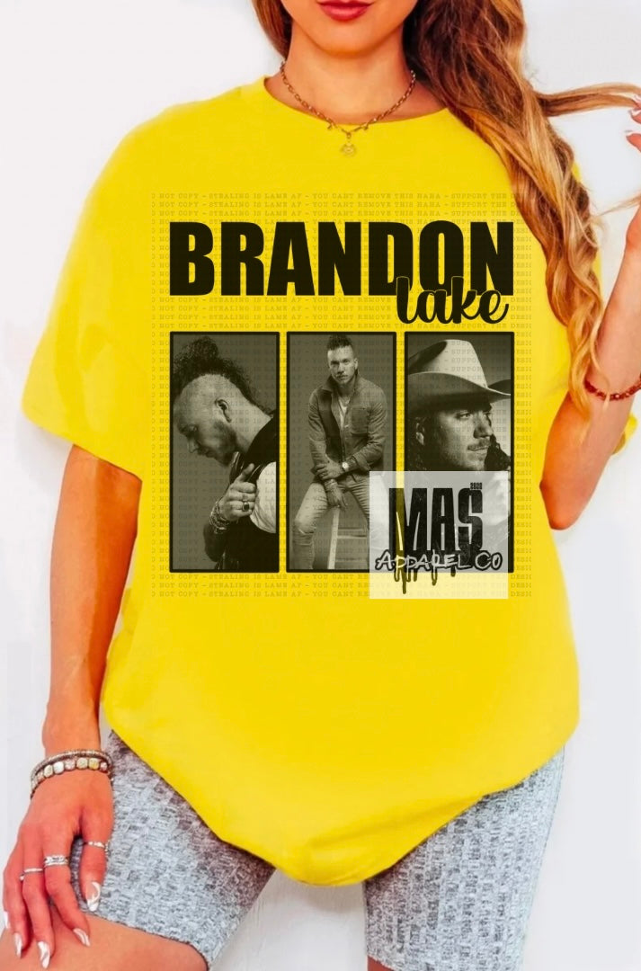 Brandon Lake Collage